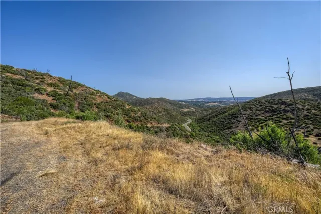 a view of a green field with lots of bushes