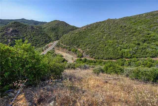 a view of a dry yard with trees and stairs