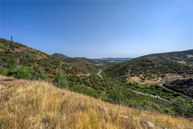 a view of a plants with large trees