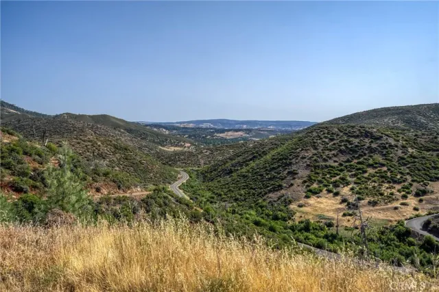 a view of a large yard with lots of bushes