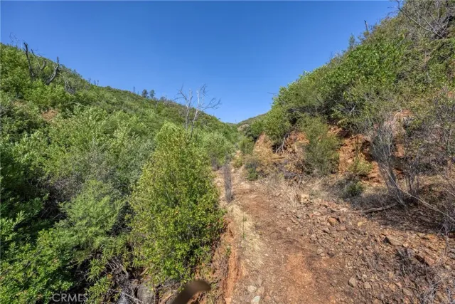 a view of a yard with a tree