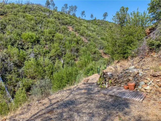 a view of a forest with a house