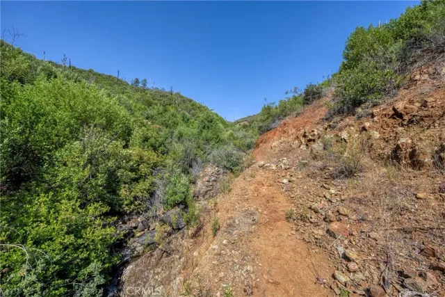 a view of a field with plants