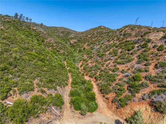 a view of a mountain range with tall trees