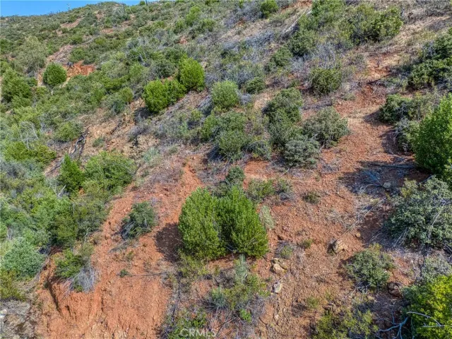 a view of a mountain range with tall trees