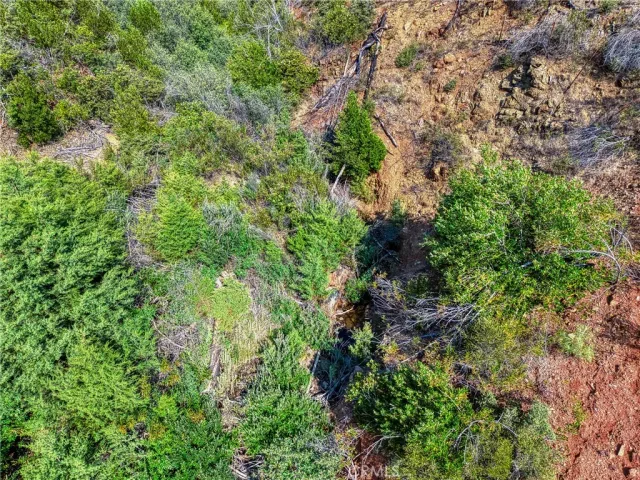 an aerial view of forest