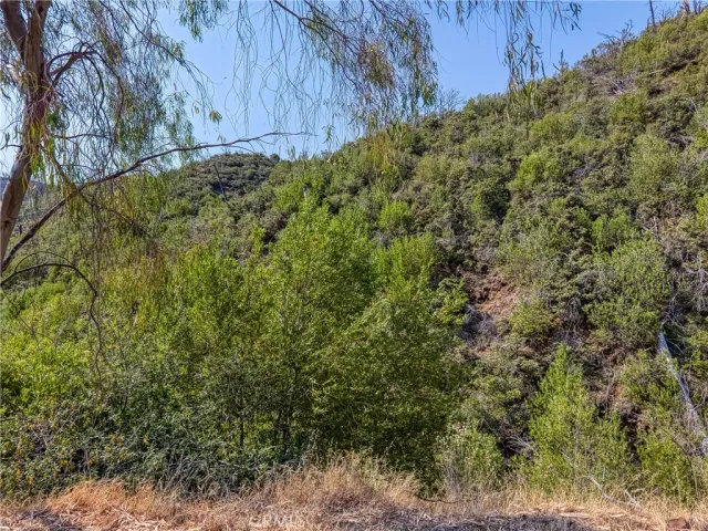 a view of a field with a mountain in the background