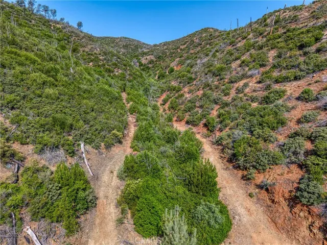 a view of a large building with a lush green forest