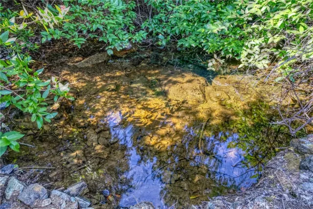 a view of a large yard with lots of bushes