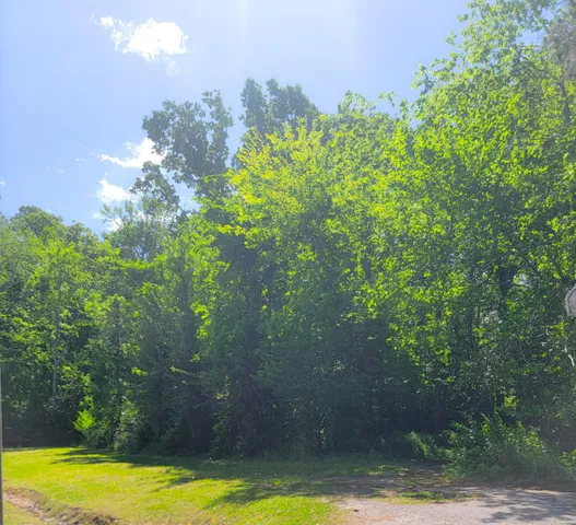 $40,000 | 0 Singletary Avenue, Moncks Corner, SC 29461