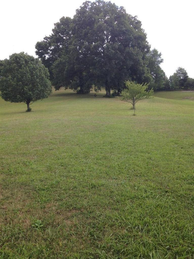 700 Spout Springs Road Irvine, KY 40336 - Photo 9 of 56 Photo 9