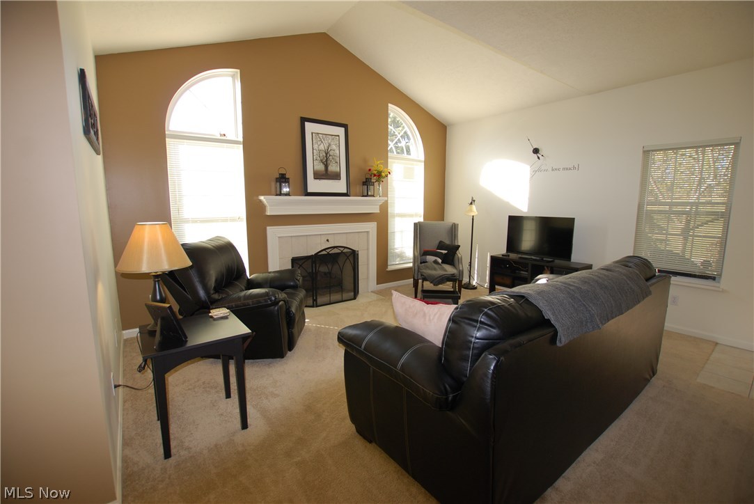 118 Wilcox Road Youngstown, OH 44515 - Photo 5 of 30 Living Room with Gas Fireplace and Vaulted Ceiling.