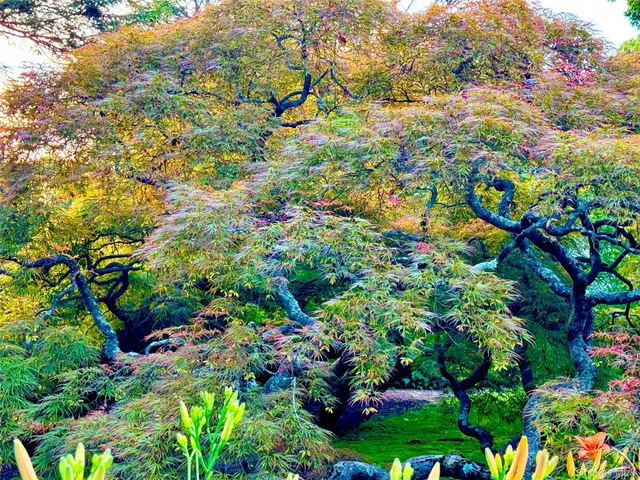 $1,875,000 | 9 Oxford Road, White Plains, NY 10605