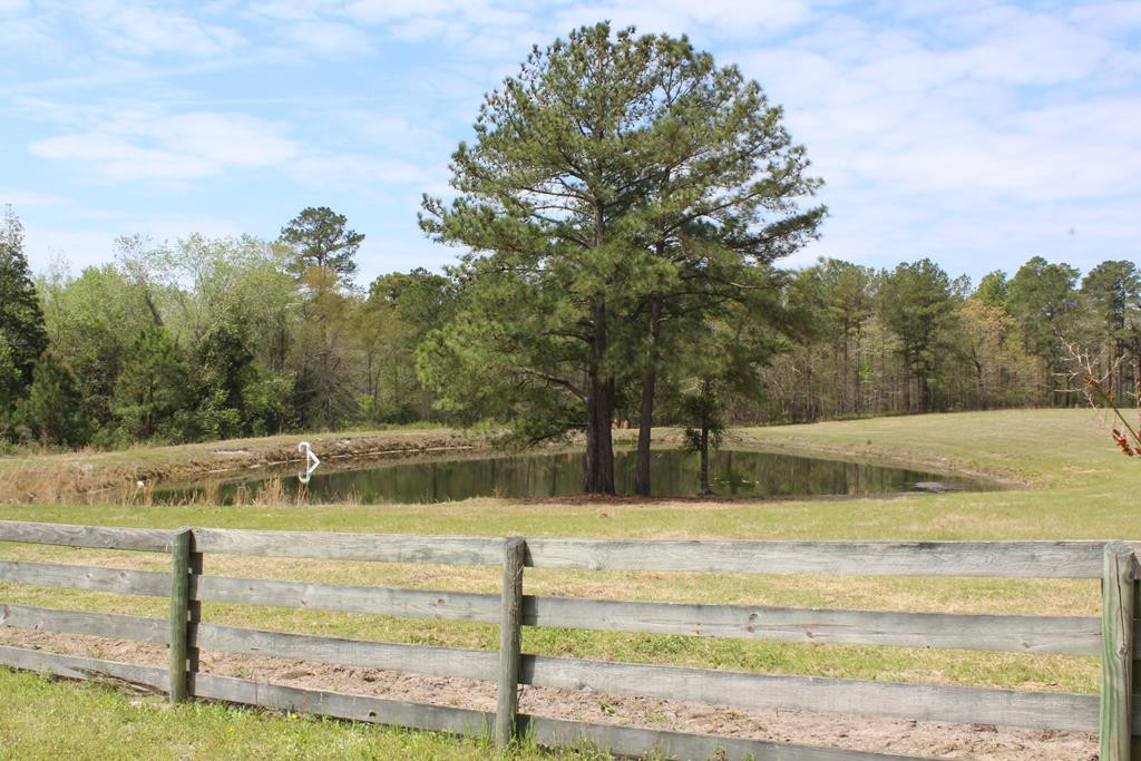 196 Paul Road Monetta, SC 29105 - Photo 7 of 27