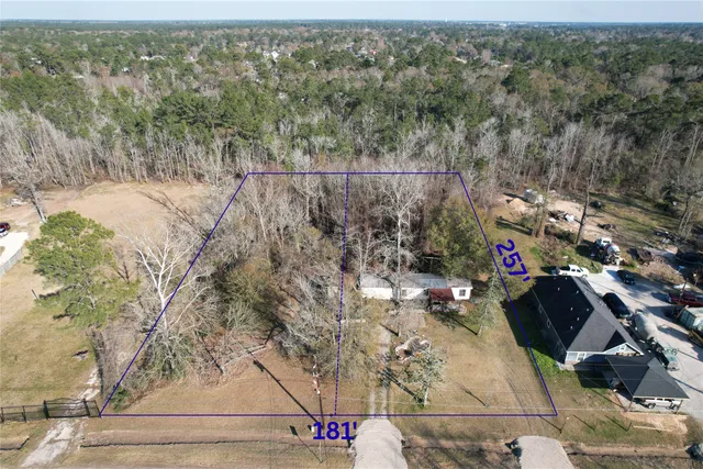 a view of path along with trees