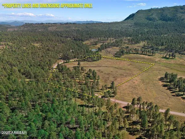 $584,900 | 1 A Forest Road 26, Blue, AZ 85922