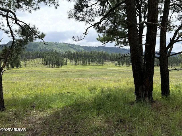 $584,900 | 1 A Forest Road 26, Blue, AZ 85922