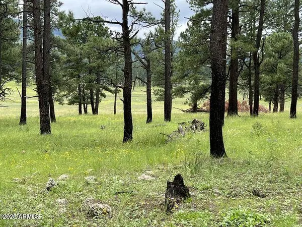 $584,900 | 1 A Forest Road 26, Blue, AZ 85922