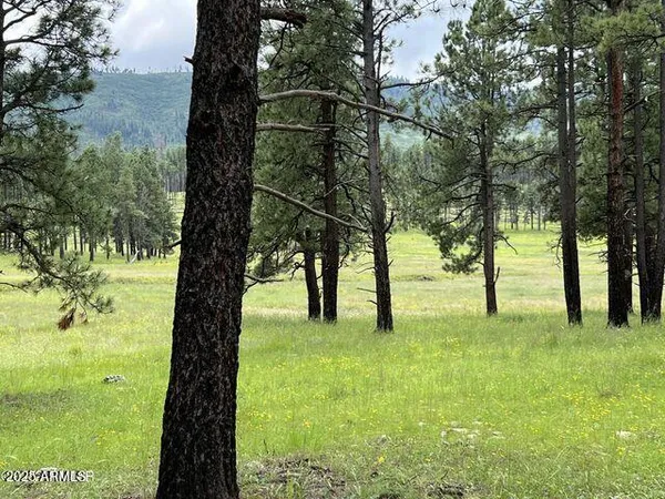 $584,900 | 1 A Forest Road 26, Blue, AZ 85922