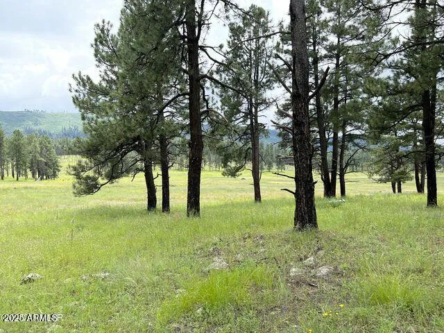$584,900 | 1 A Forest Road 26, Blue, AZ 85922