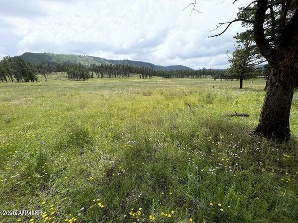 $584,900 | 1 A Forest Road 26, Blue, AZ 85922