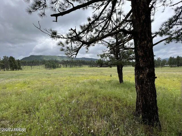 $584,900 | 1 A Forest Road 26, Blue, AZ 85922