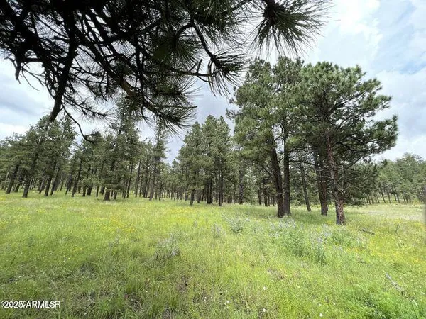 $584,900 | 1 A Forest Road 26, Blue, AZ 85922