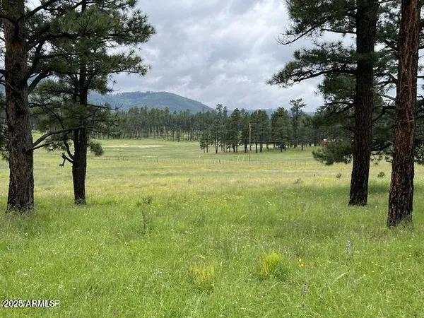 $584,900 | 1 A Forest Road 26, Blue, AZ 85922