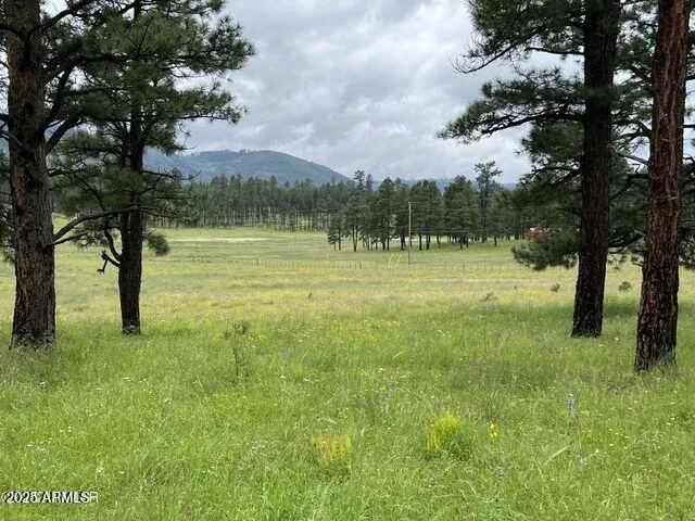 $584,900 | 1 A Forest Road 26, Blue, AZ 85922