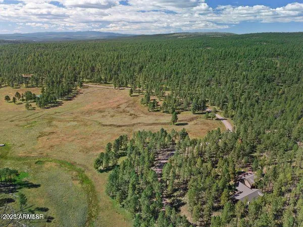 $584,900 | 1 A Forest Road 26, Blue, AZ 85922