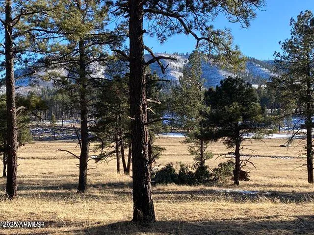 $584,900 | 1 A Forest Road 26, Blue, AZ 85922