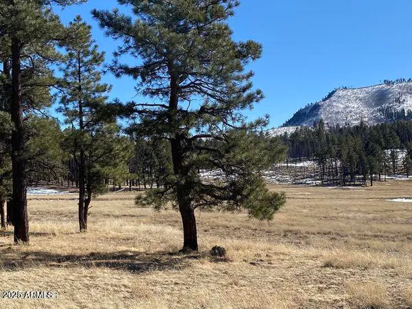 $584,900 | 1 A Forest Road 26, Blue, AZ 85922