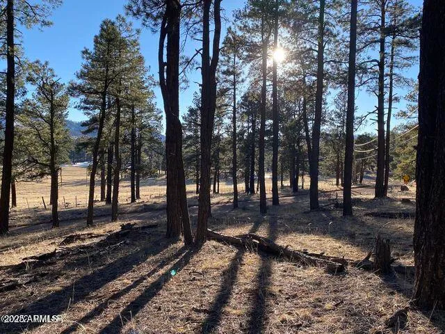 $584,900 | 1 A Forest Road 26, Blue, AZ 85922