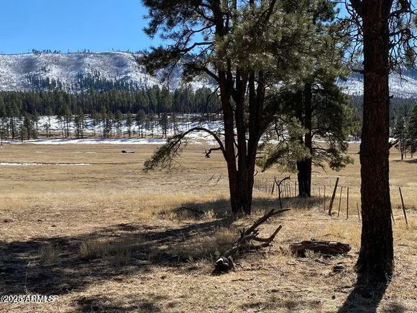 $584,900 | 1 A Forest Road 26, Blue, AZ 85922