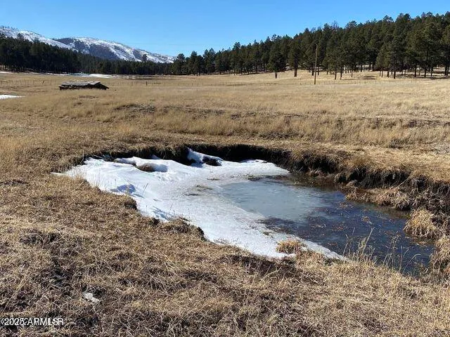 $584,900 | 1 A Forest Road 26, Blue, AZ 85922