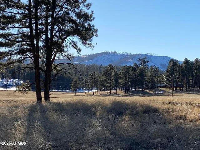$584,900 | 1 A Forest Road 26, Blue, AZ 85922