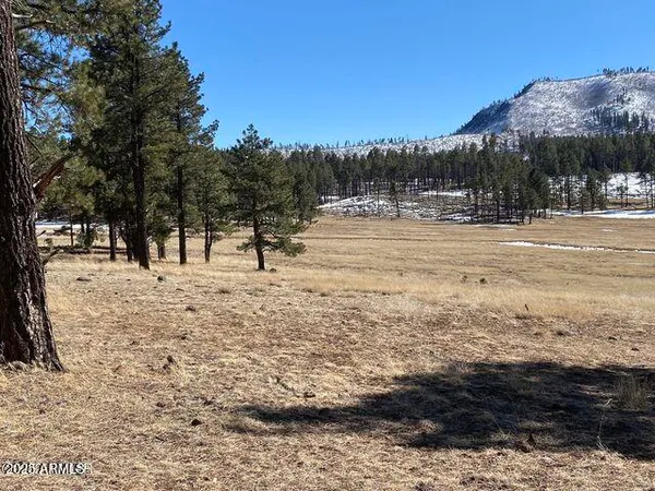 $584,900 | 1 A Forest Road 26, Blue, AZ 85922