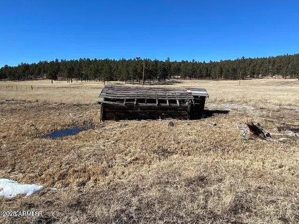 $584,900 | 1 A Forest Road 26, Blue, AZ 85922