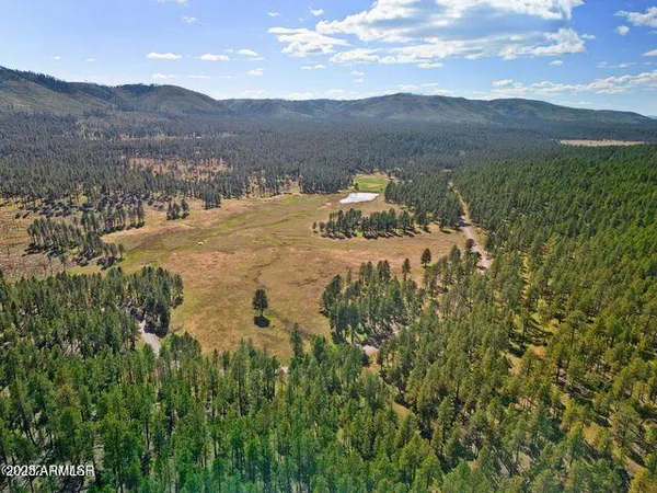 $584,900 | 1 A Forest Road 26, Blue, AZ 85922