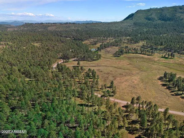 $584,900 | 1 A Forest Road 26, Blue, AZ 85922