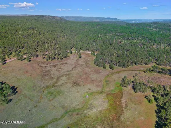 $584,900 | 1 A Forest Road 26, Blue, AZ 85922