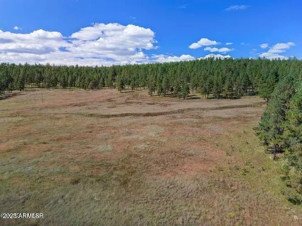 $584,900 | 1 A Forest Road 26, Blue, AZ 85922