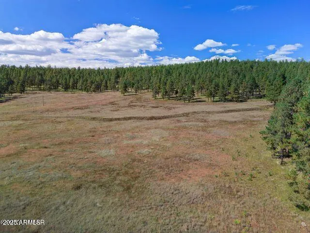 $584,900 | 1 A Forest Road 26, Blue, AZ 85922