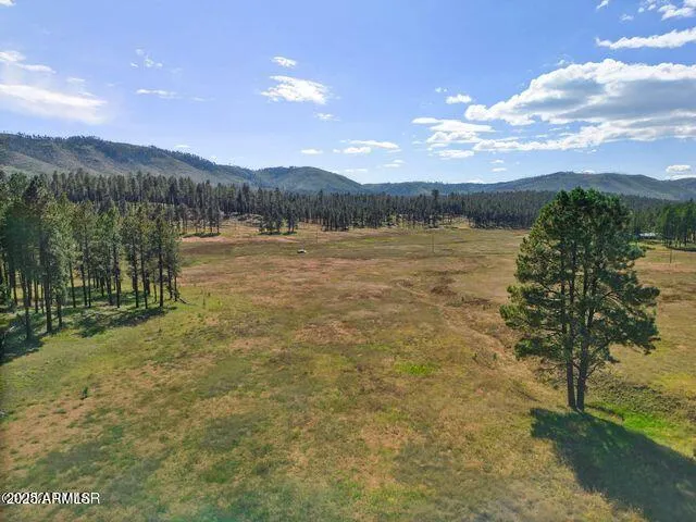 $584,900 | 1 A Forest Road 26, Blue, AZ 85922