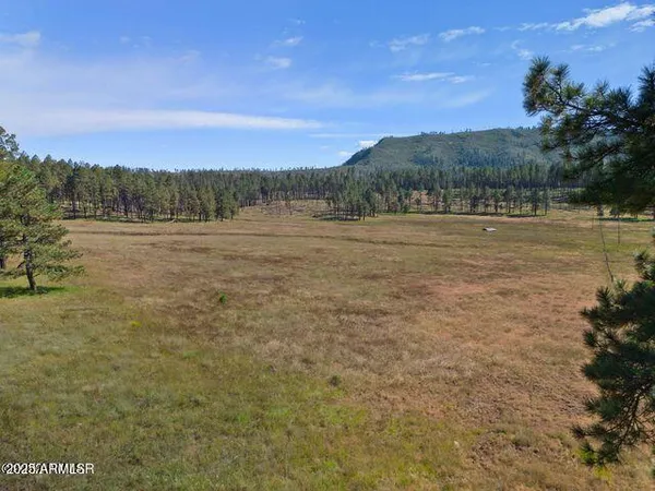 $584,900 | 1 A Forest Road 26, Blue, AZ 85922