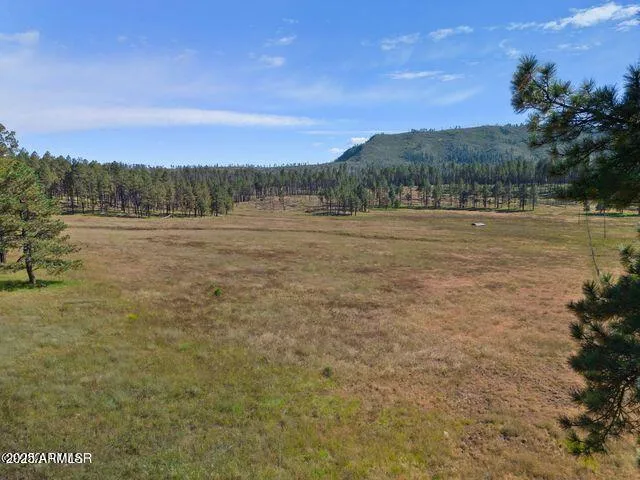 $584,900 | 1 A Forest Road 26, Blue, AZ 85922