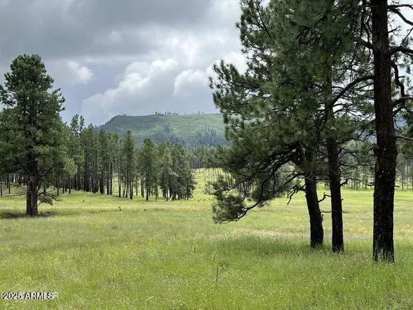 $584,900 | 1 A Forest Road 26, Blue, AZ 85922