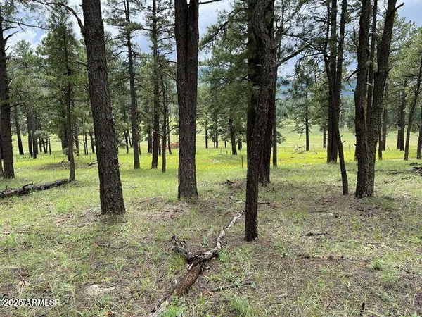 $584,900 | 1 A Forest Road 26, Blue, AZ 85922