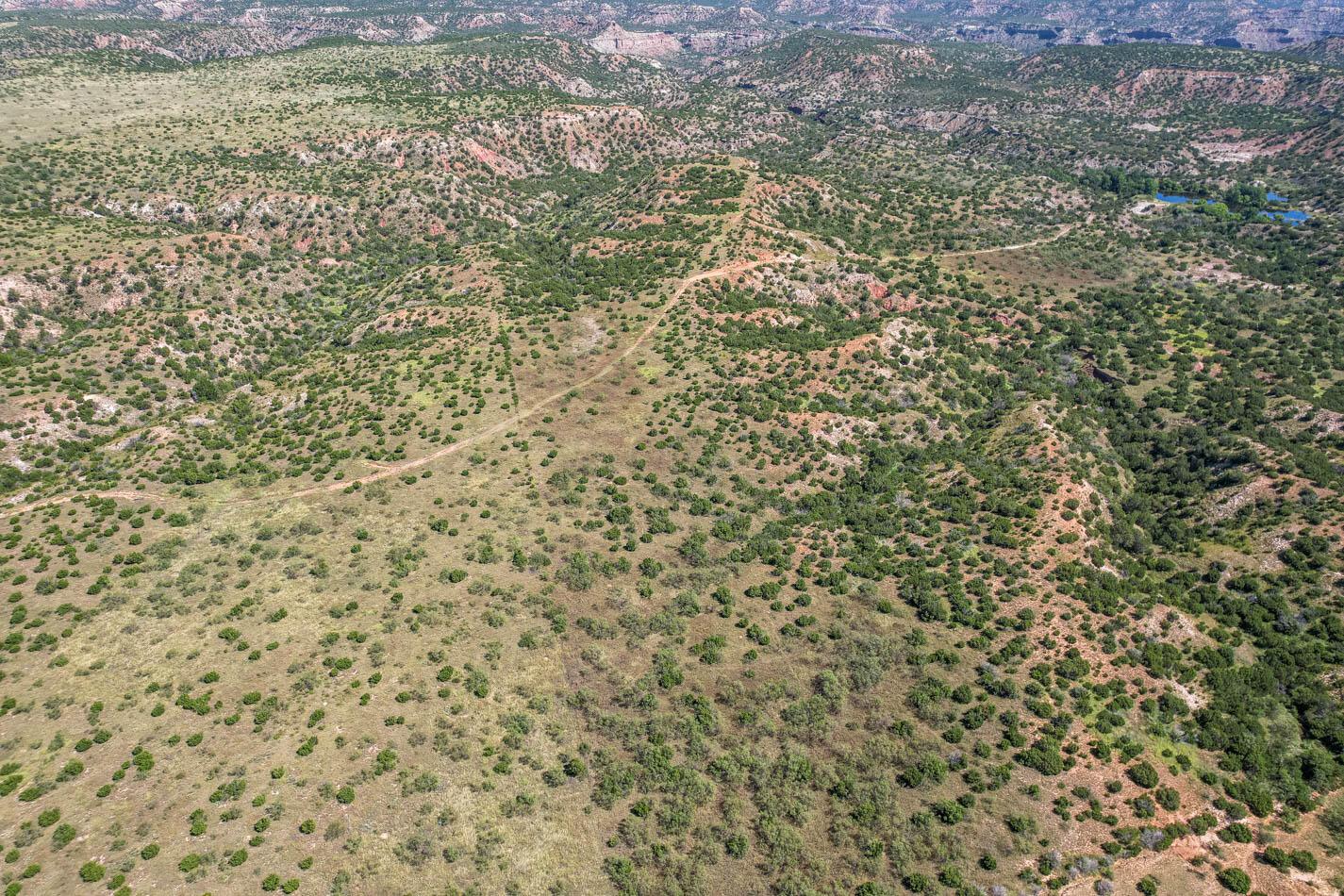 11400 Busan Way Canyon, TX 79015 - Photo 105 of 107 a close up of a wall