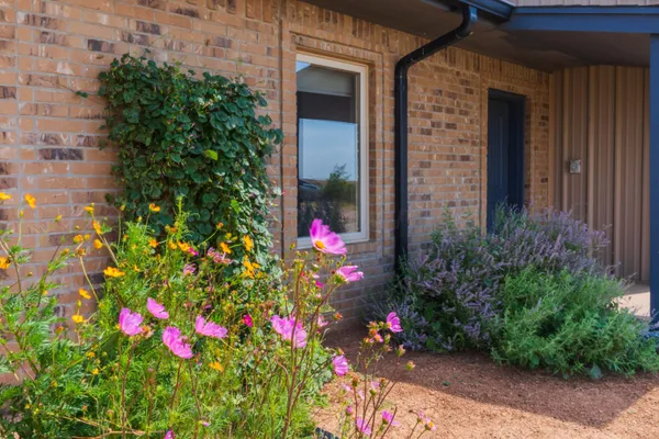 a living room with furniture and a ceiling fan
